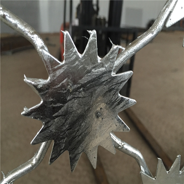 梅花刺片隔離網(wǎng)圖片3