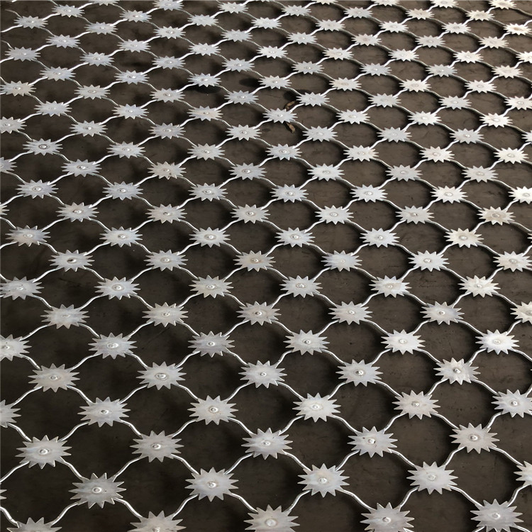梅花刺片隔離網(wǎng)圖片4