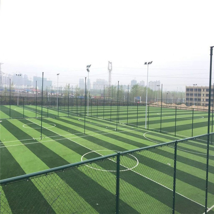 綠色球場(chǎng)圍欄網(wǎng)圖片2
