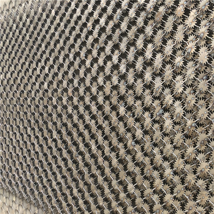 監獄太陽花刺鋼網墻圖片3