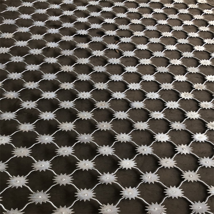 監獄梅花刺片防護網圖片4