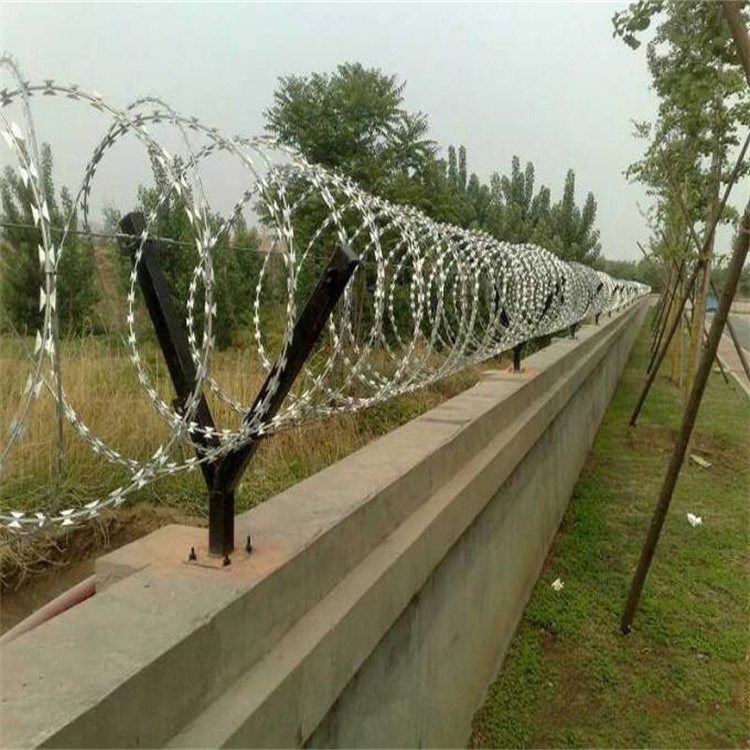 帶刺圍墻網圖片4