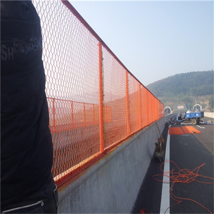 高速公路防護網圖片1
