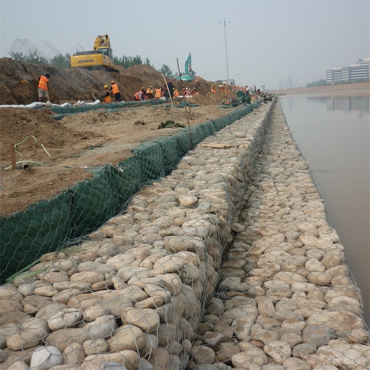 生態格網護墊圖片2