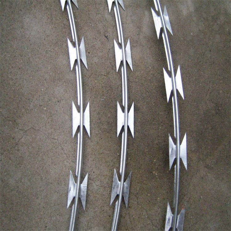 直條型刀片刺網圖片4