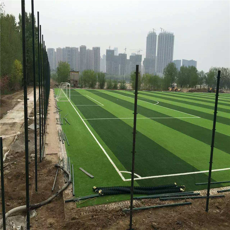 扁鐵式球場(chǎng)圍網(wǎng)圖片4