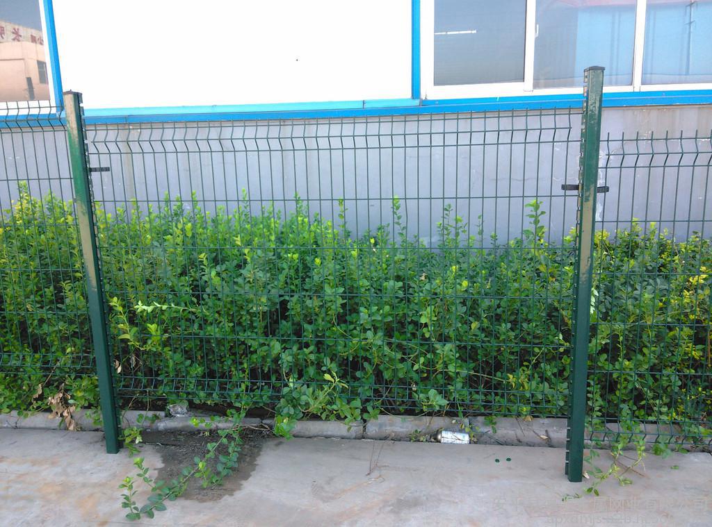 圍墻護(hù)欄網(wǎng)圖片3