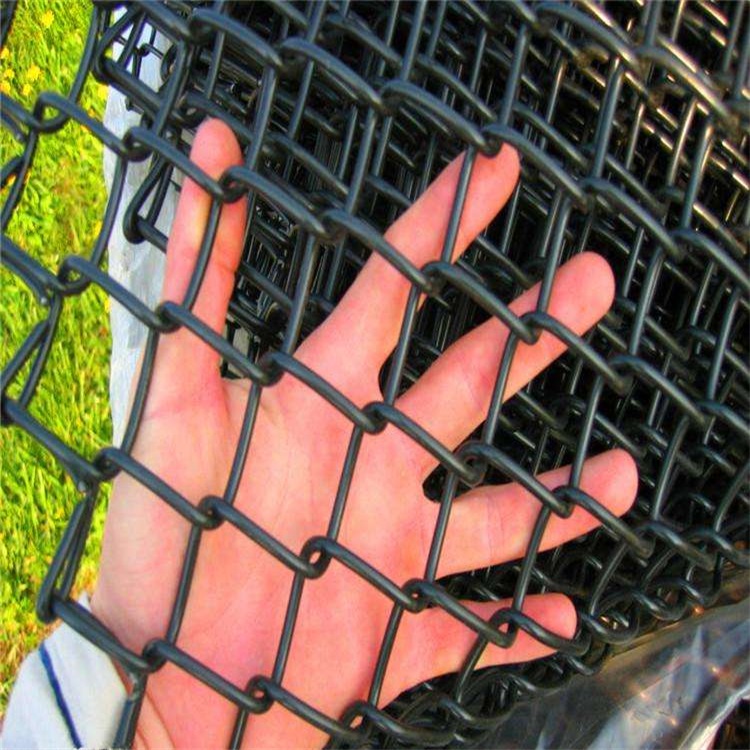 動物園圍欄網圖片3