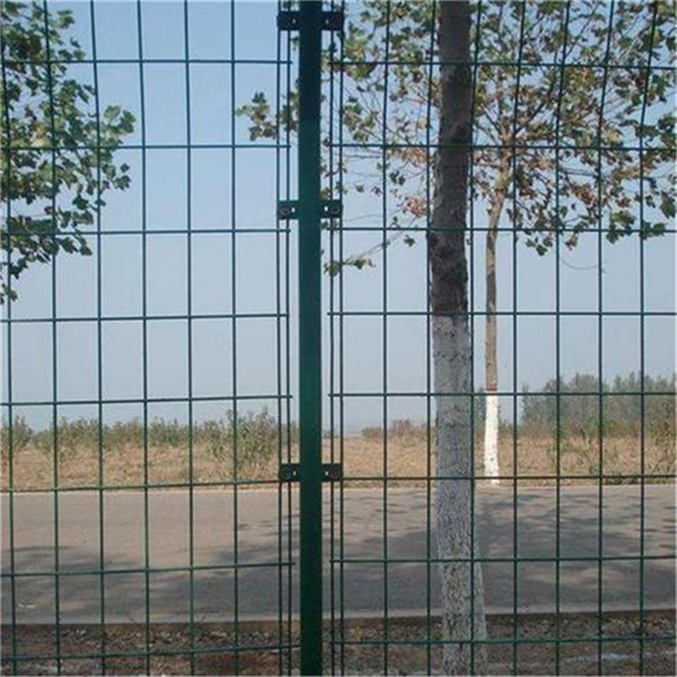 雙邊絲護(hù)欄網(wǎng)立柱圖片3