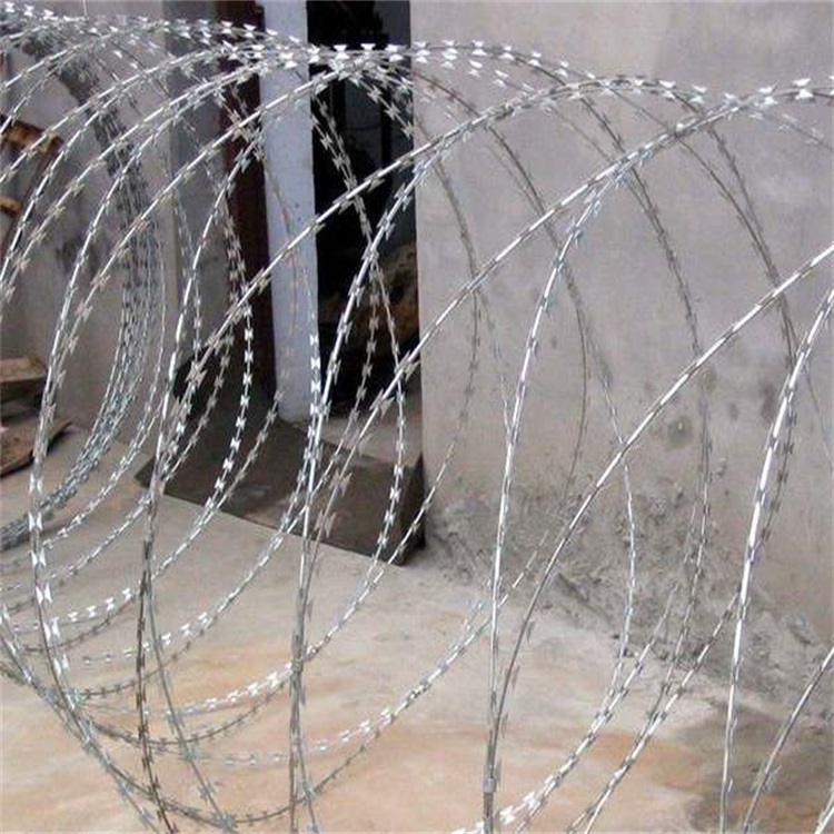 高鐵刺絲滾籠圖片2