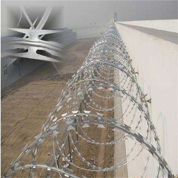 高鐵刺絲滾籠圖片4