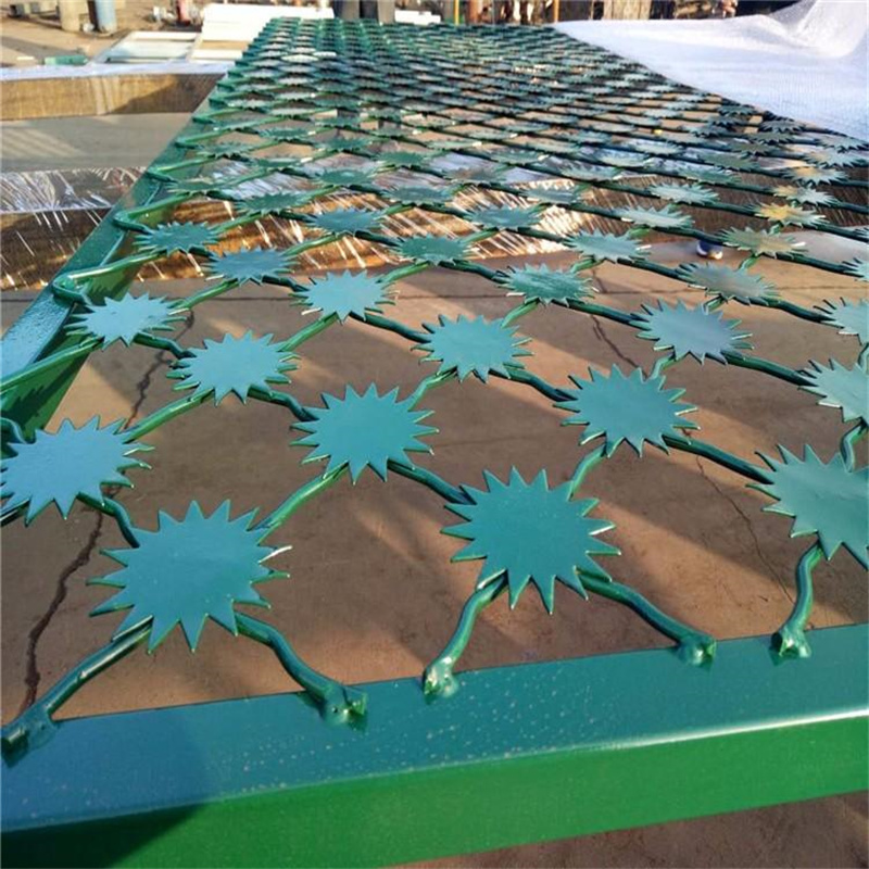 監(jiān)獄生活區(qū)梅花刺隔離網(wǎng)圖片4