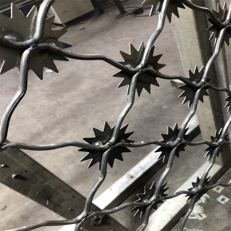 太陽花鋼網墻圖片1