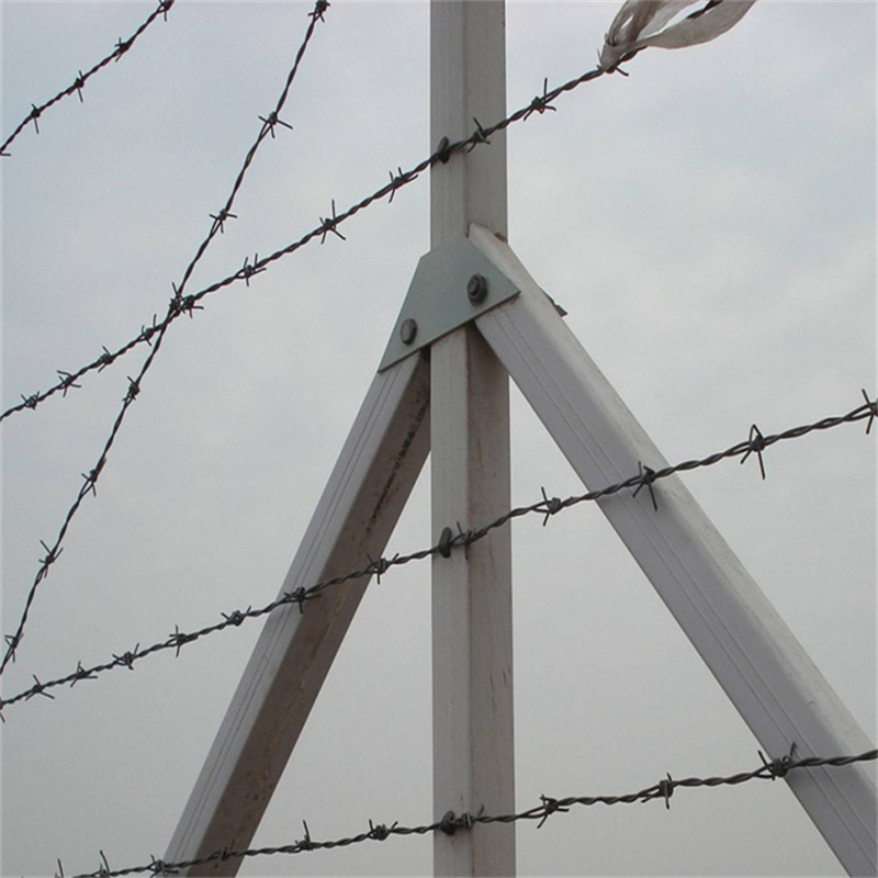 鐵蒺藜隔離網圖片1