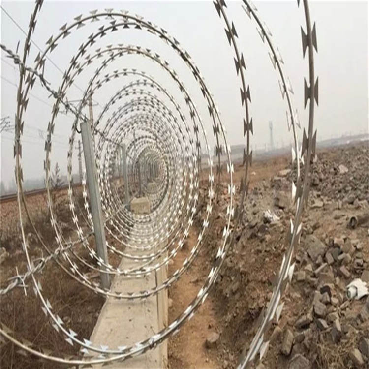 刺鐵絲隔離柵圖片4