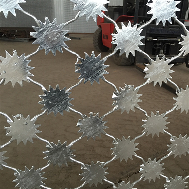 梅花刺鋼網墻圖片3