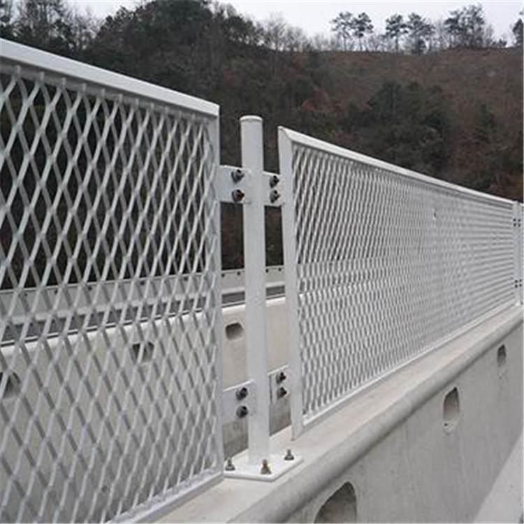 防眩網(wǎng)圖片4