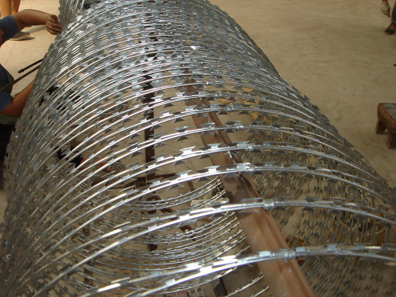 304防爬刺刀圈隔離網圖片4