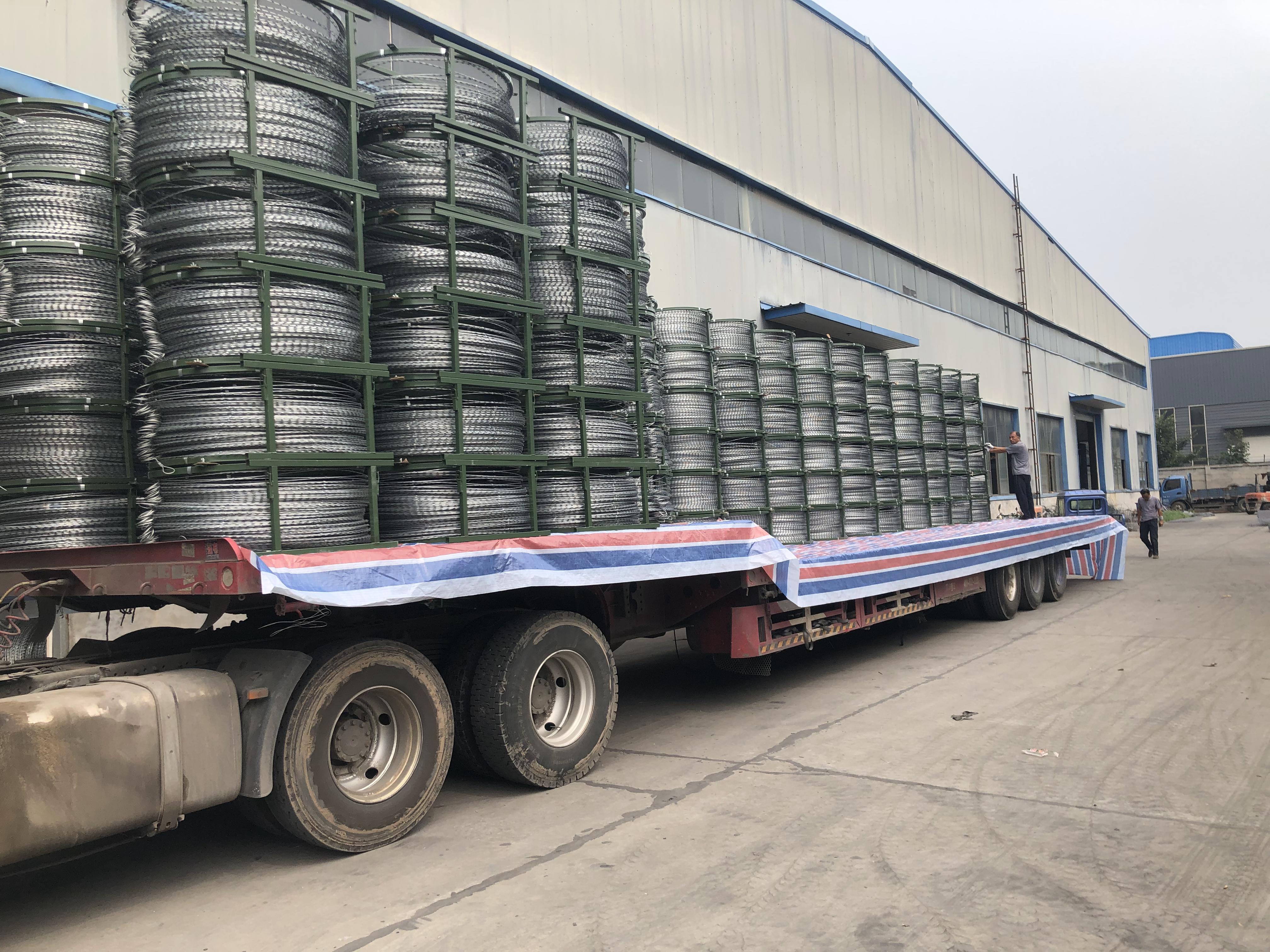 監(jiān)獄專用不銹鋼刺刀圈圖片3