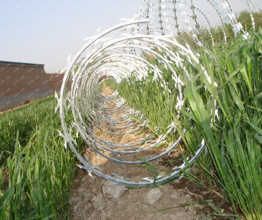 鐵路專用刺絲滾籠圖片2