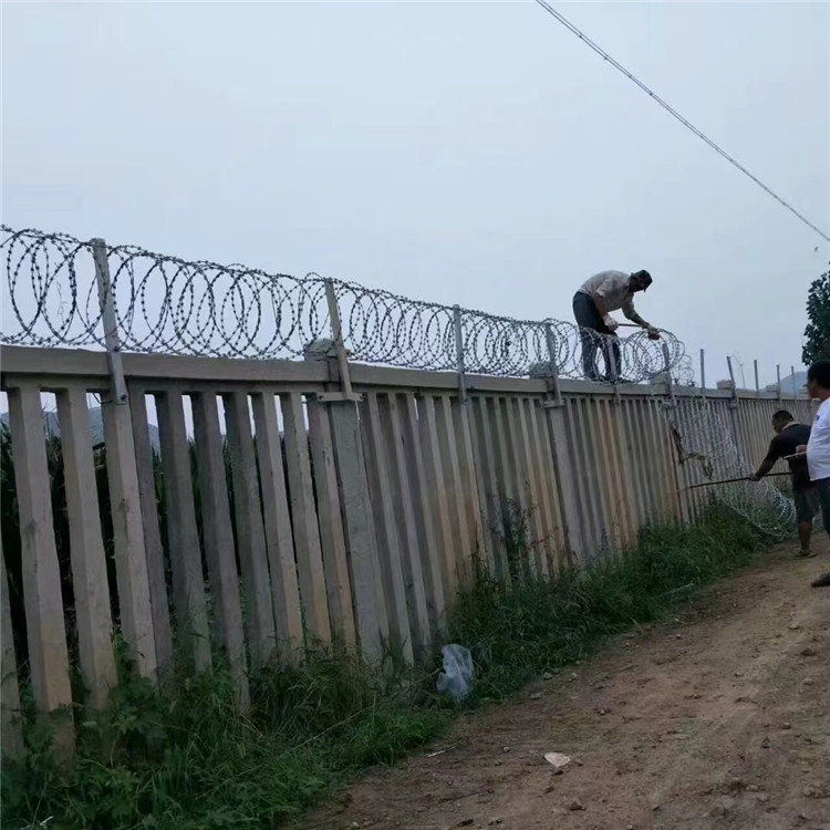 監(jiān)獄專用不銹鋼刺刀圈圖片2