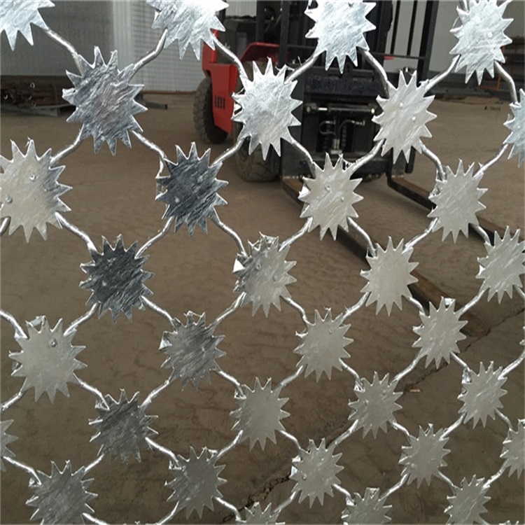 監獄梅花刺片隔離鋼網墻圖片4