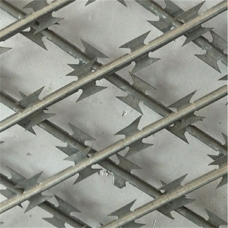 監獄焊接刀刺網圖片3