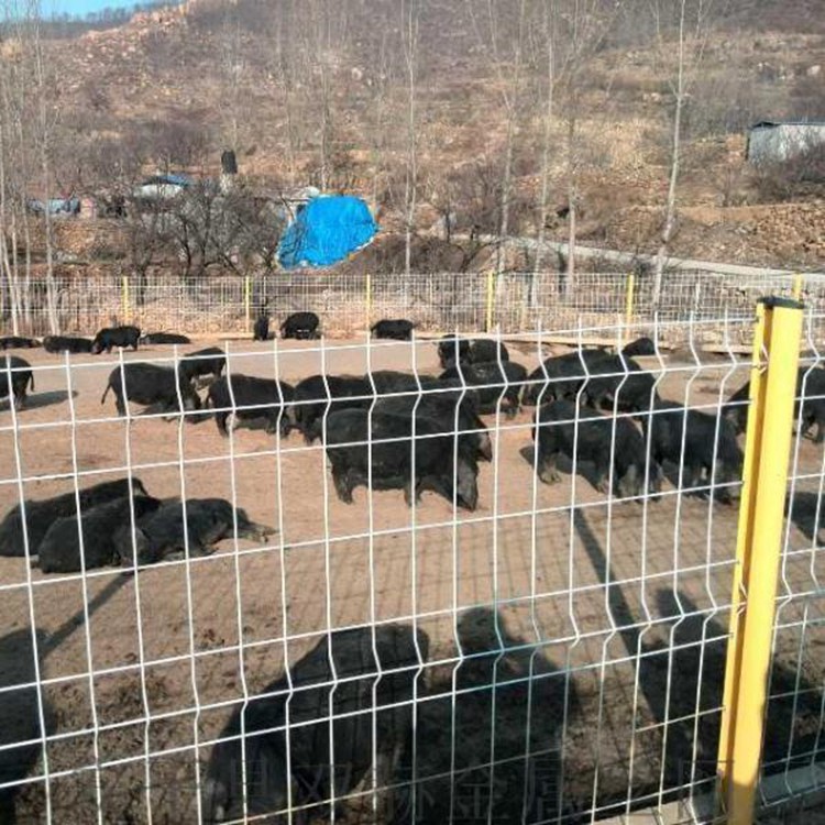 菜園果園圍養(yǎng)殖圍欄防牲畜護(hù)欄網(wǎng)圖片1