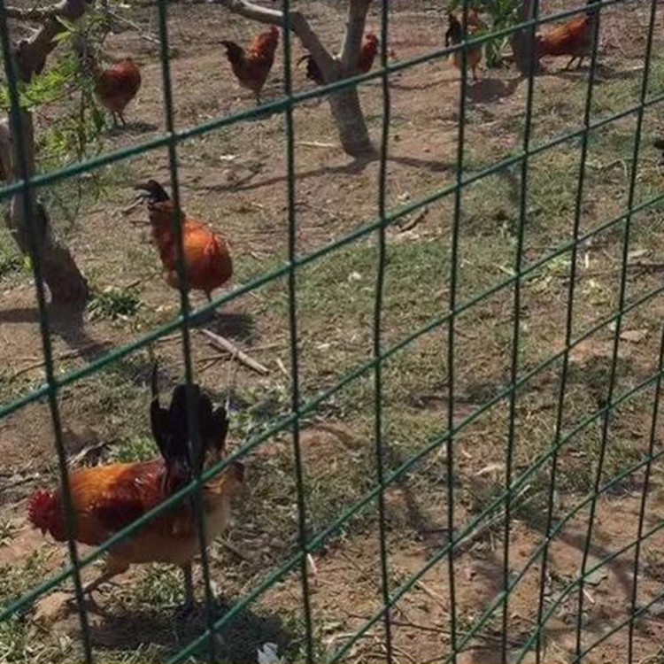 菜園果園圍養(yǎng)殖圍欄防牲畜護(hù)欄網(wǎng)圖片2